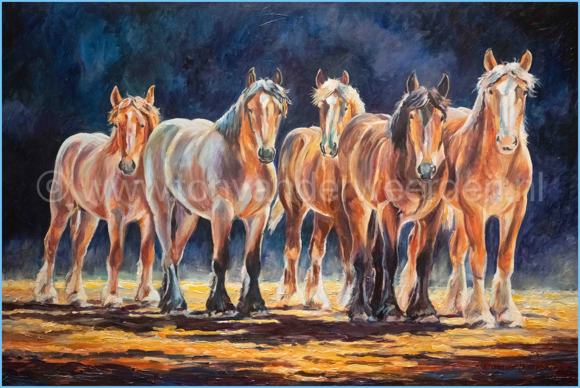 Vijf  jonge hengsten