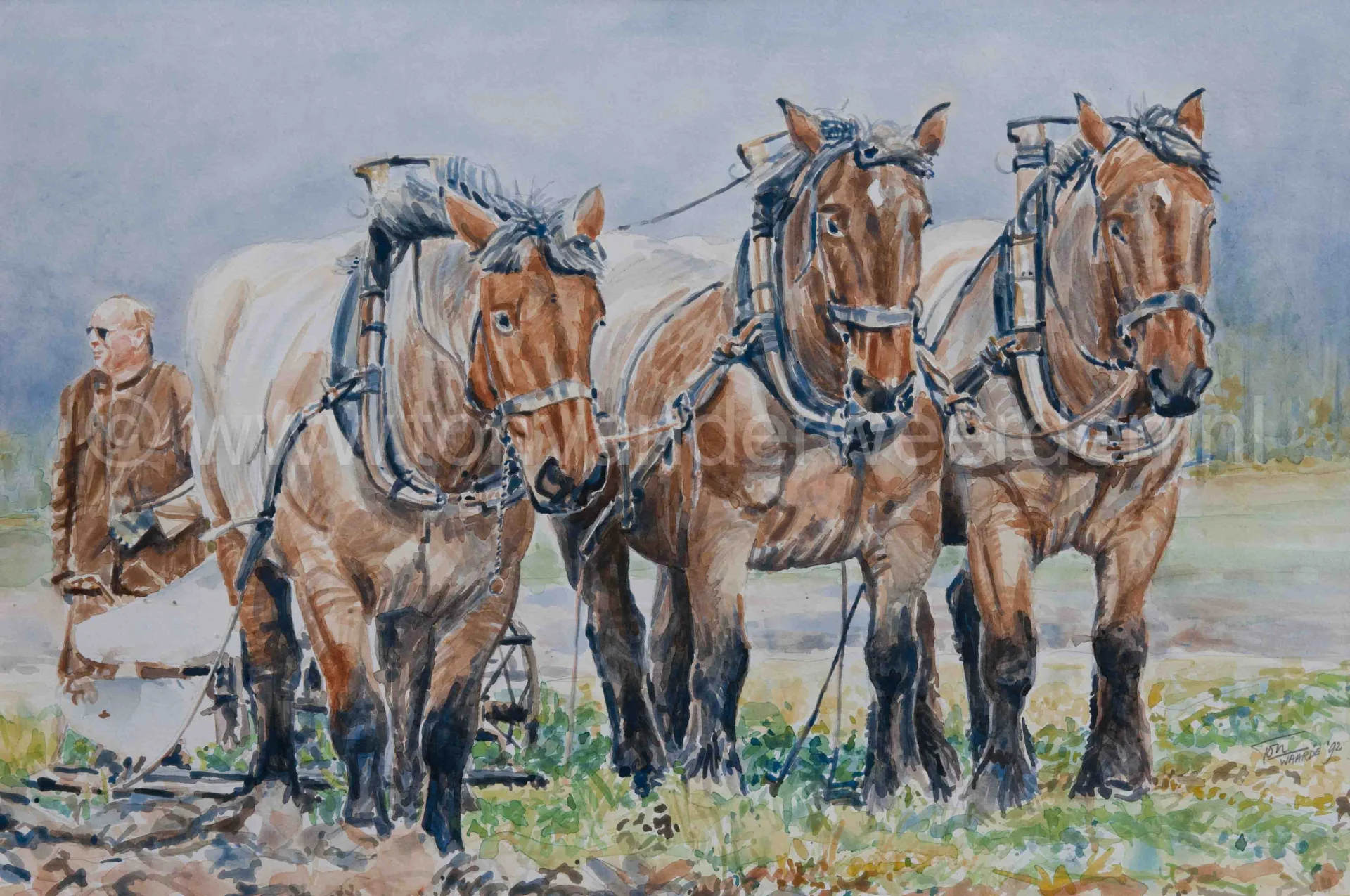 Driespan van Rien Mol