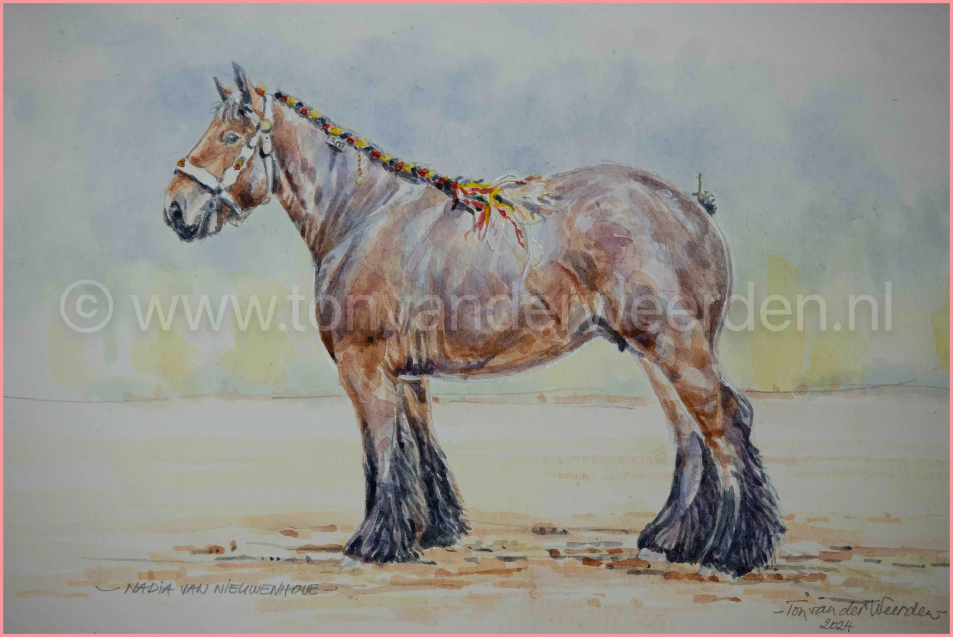 Nadia van Nieuwenhove