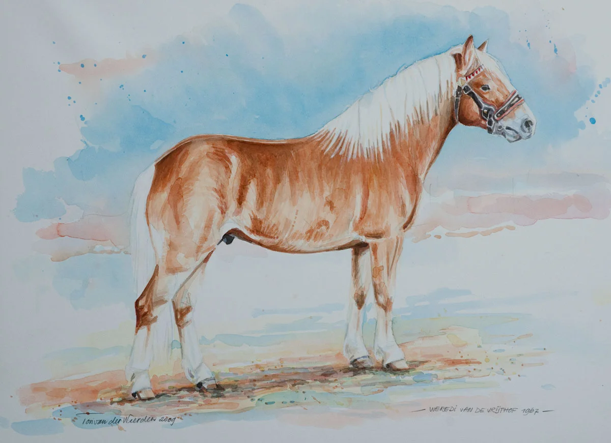 Were-di van de Vrijthof