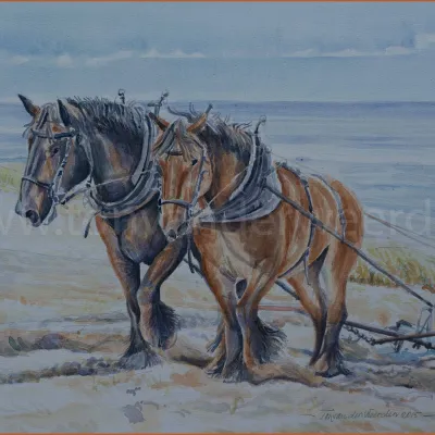 Ploegen Duinen Katwijk	