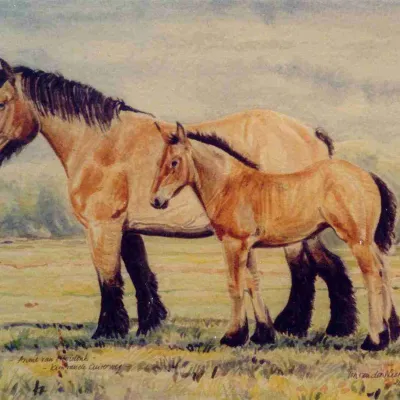 Anne van Hooidonk met veulen