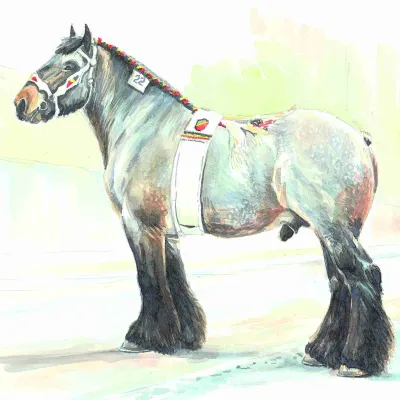 Buffalo van t Camillenhof