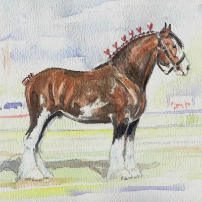 Clydesdale