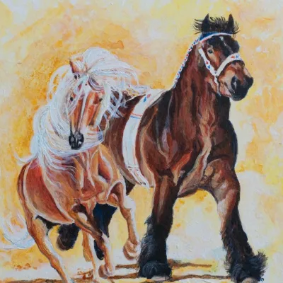 Trekpaard & Haflinger