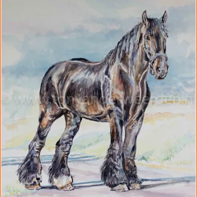 Faroek van het Hermeshof