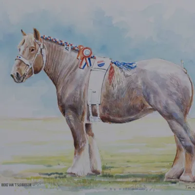 Bieke van 't Slobbegor