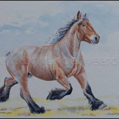 Hugo van de Vinkenbossen