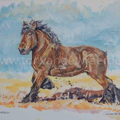 Wendy van de Klaverhoeve