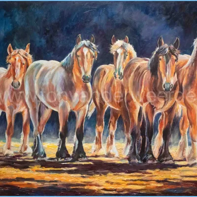 Vijf  jonge hengsten