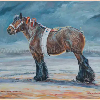 Jannus van de Kouwehof