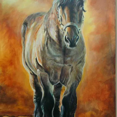 Star van het Bloemenhof