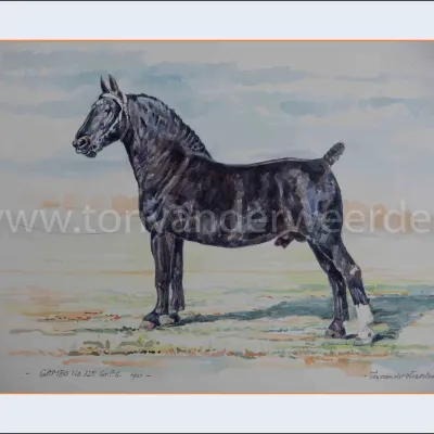 Gambo No. 325 Gr.P.S.