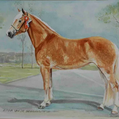 Emma van de Geebelshoeve