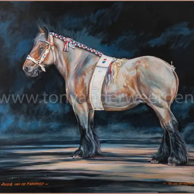 Anouk van de Paashoef