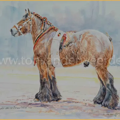 Mathador van de Bouwhoeve