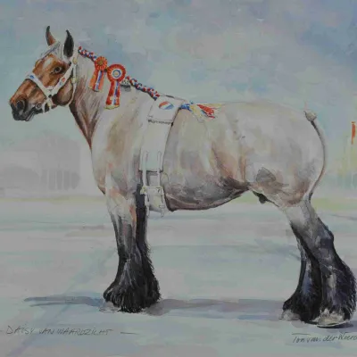 Daisy van Waardzicht