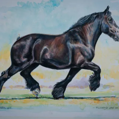 Floortje van de Lieshof