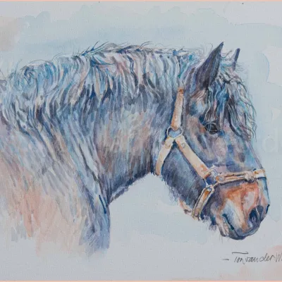 Roel van de Lindehoef