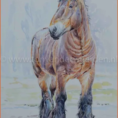 Mathador van de Bouwhoeve