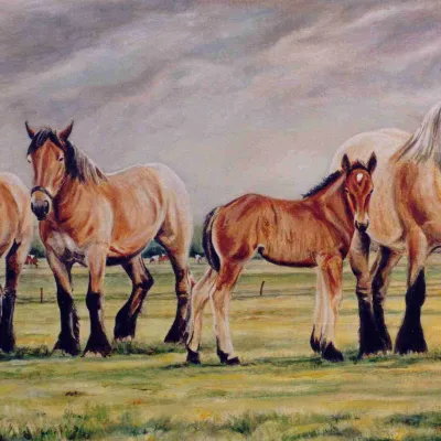 Trekpaarden Familie Fleuren