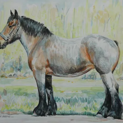 Mirva van de Breehei