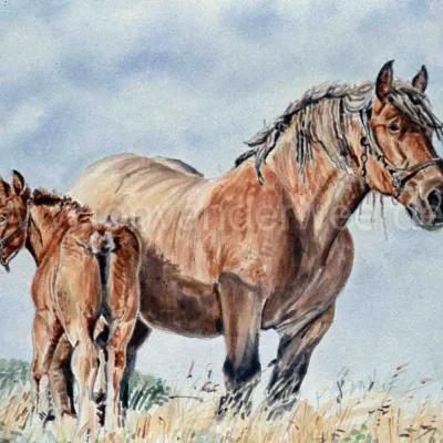 Lydia van Gunterslaer