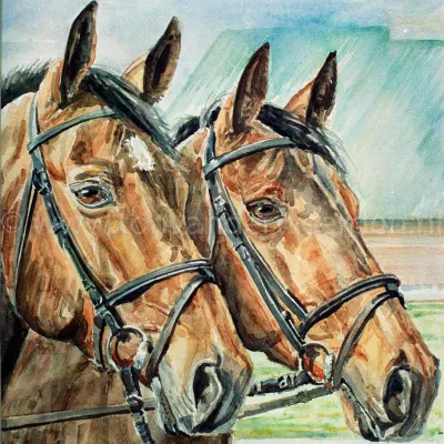 KWPN merries maart 1990