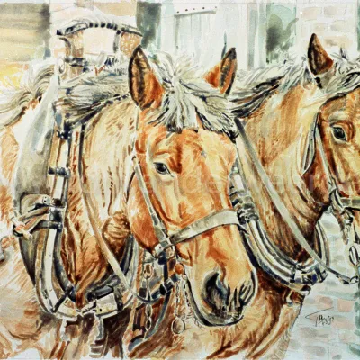 Tweespan Trekpaarden