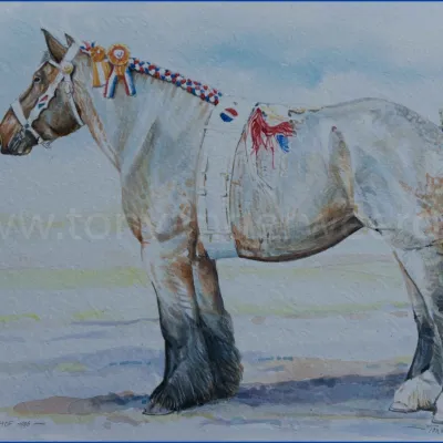 Kelly van Leendershof