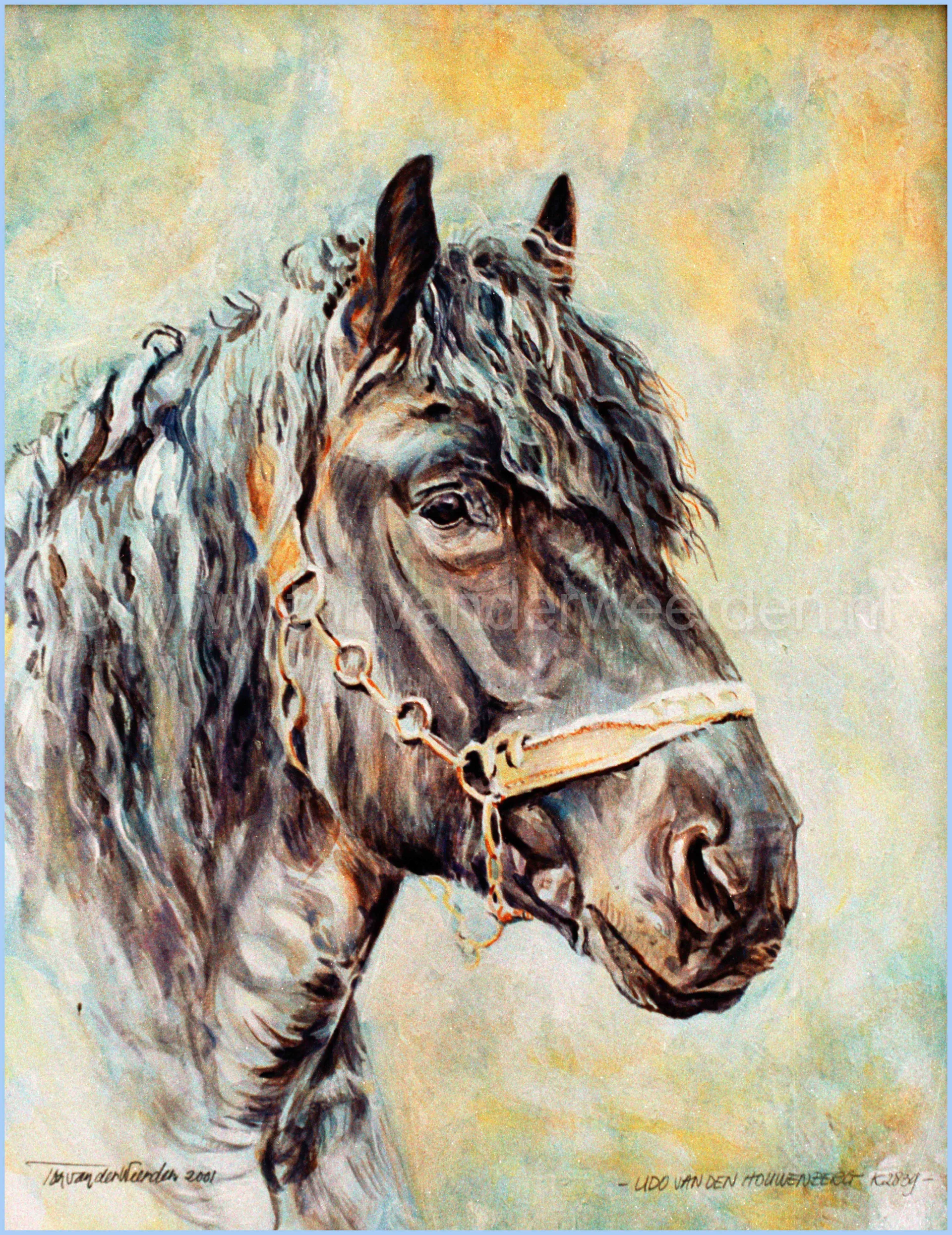 Udo van den Houwenberg